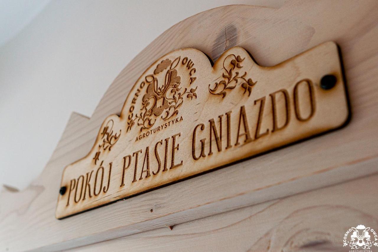 Agroturystyka Corno Owca Zabnica Ngoại thất bức ảnh