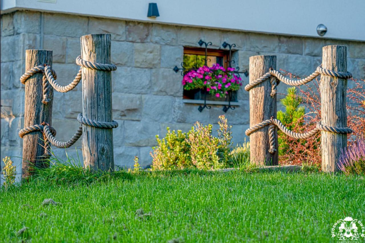 Agroturystyka Corno Owca Zabnica Ngoại thất bức ảnh
